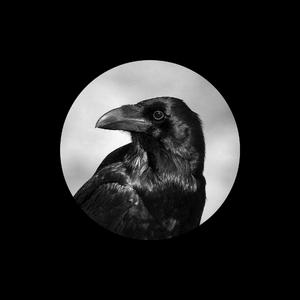 日本三级无码中文字幕
