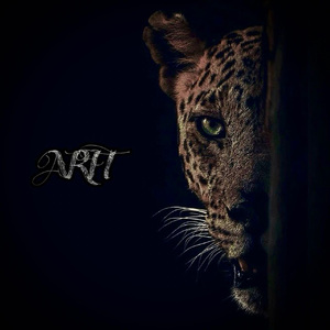 日本三级无码中文字幕
